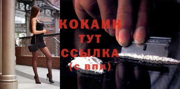 прущие грибы Бронницы