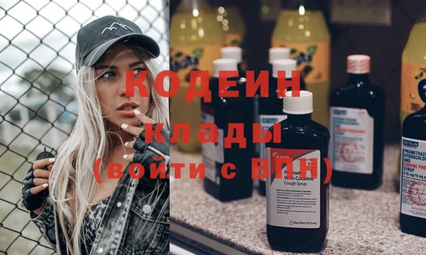 амф Бородино
