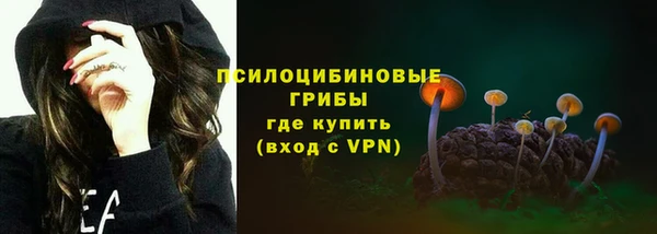 дживик Богородицк