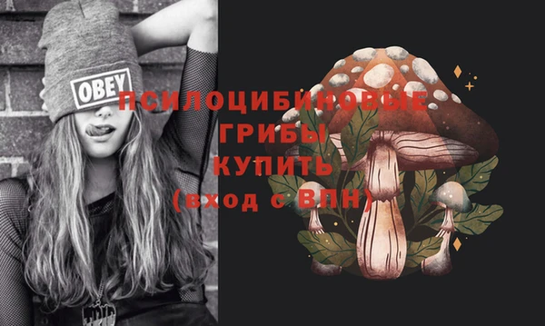 дурь Богородск