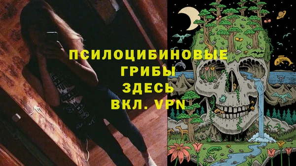 дживик Богородицк