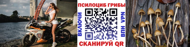 Псилоцибиновые грибы мухоморы  где найти   Суворов 