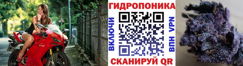 как найти закладки  Суворов  МАРИХУАНА LSD WEED 